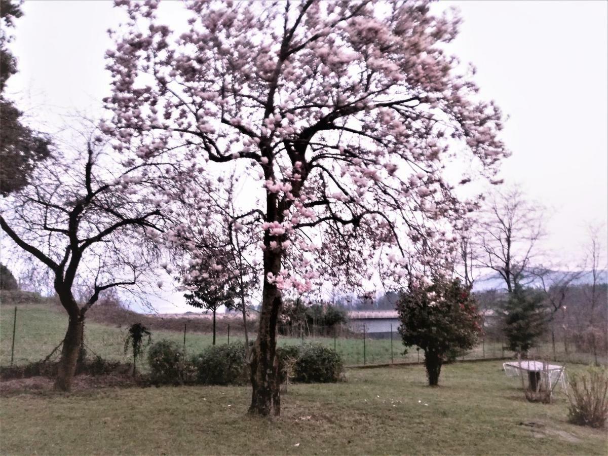 Casale Cadeloro Apartman Nebbiuno Kültér fotó